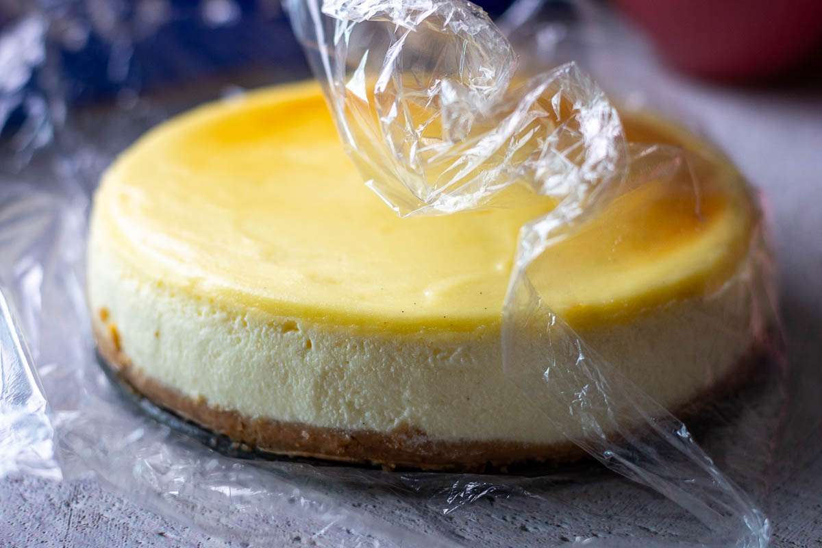 Does Cheesecake Need to Be Refrigerated: Storing Cheesecake for Freshness